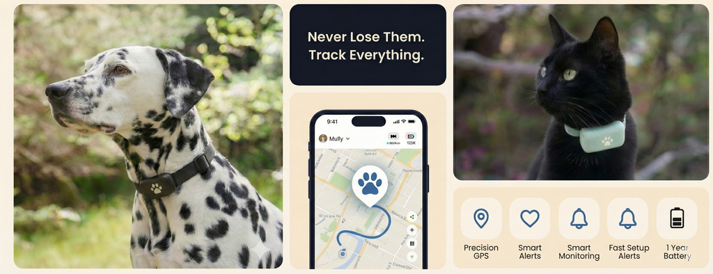 GPS Pet Tracker